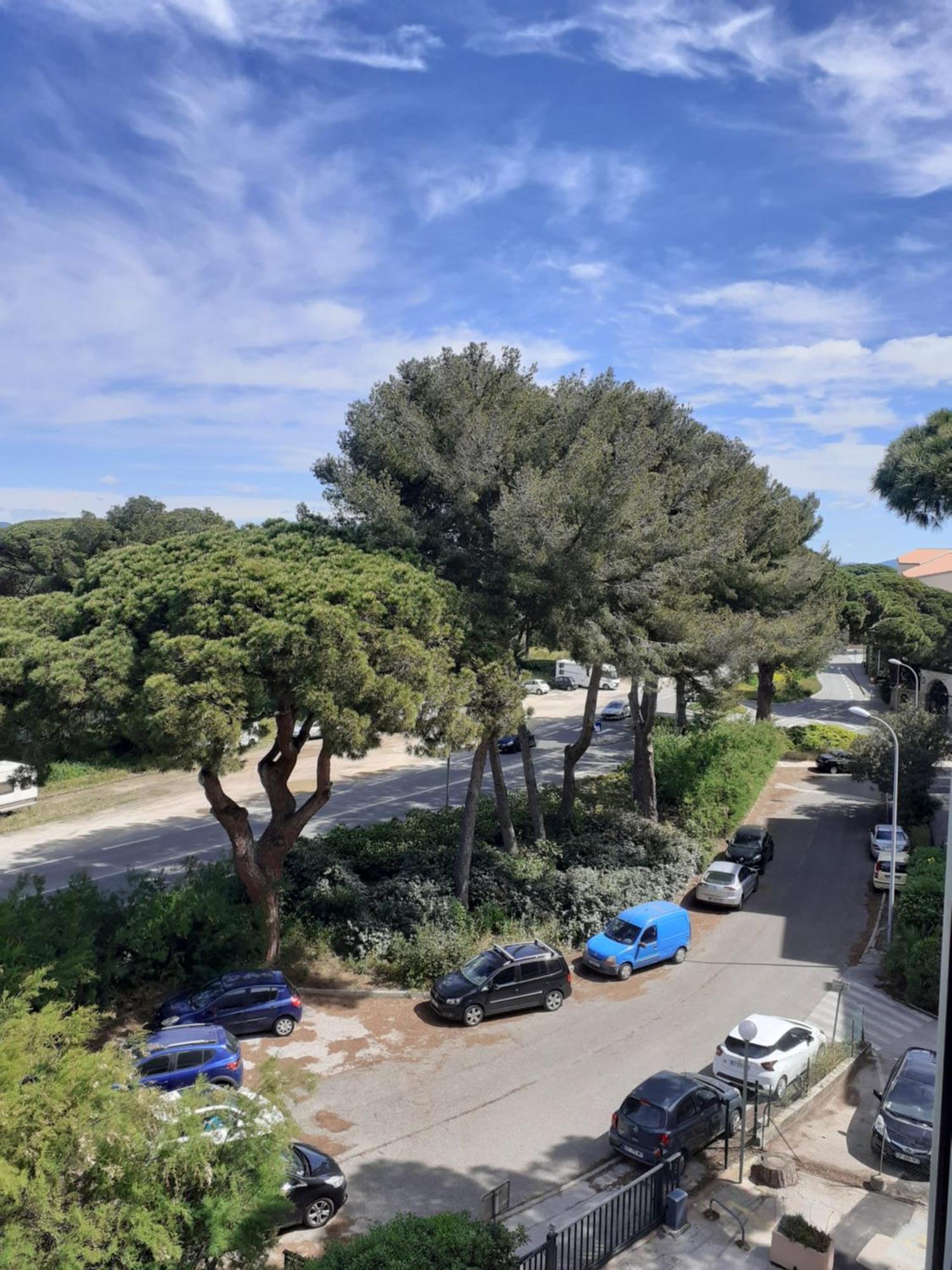 Studio Hyeres Port Et Iles D'Or. Eksteriør bilde
